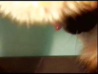 A Thing That Needs To Be Done