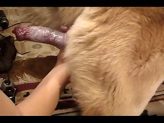 Best Dog Porn Videos Page 1 At 3oopark Com