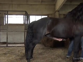 Animal Porn with Step Sister Getting Her Ass Fucked7