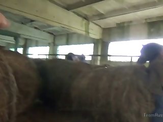 Animal Porn with Girl Blowjob With Swallow