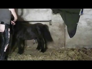 Animal Porn with Teens Dp26
