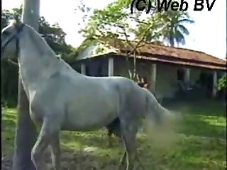 Dando Pra Cavalo