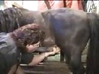 Beastiality Mistress Beast Pms Pm