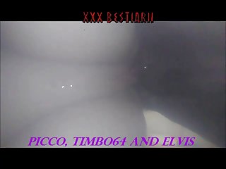Picco Elvis 002