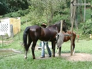 Fuckedbyhorses.com Horse Sex Movie 10 005