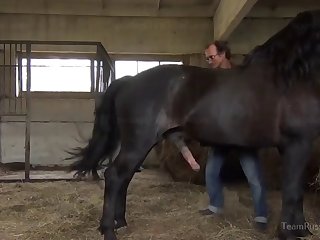 Masha Horse Video