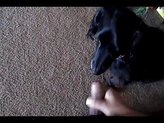 Said I Just Want You To Be Glad You Hired Me Mommy