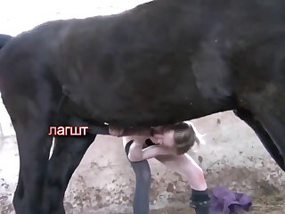 Animal Porn with Whore Loves Hard Fisting Pussy