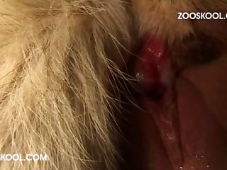 One More Time Animal Porn with Girls Ready For Lick Their Pussy.3