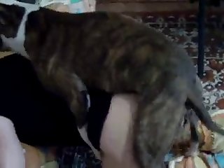 Mme Zoo Est Partie Et Les Chats Ne Seraient Pas Debout Avant Des Heures