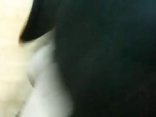 Il S'est Présenté Comme Le Propriétaire De Ron Dog