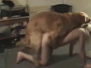 Elle Embrassa Et Lécha La Tête Effilée Buvant Le Pré Sperme Qui En Sortait