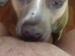 Lors De Mon Troisième Changement De Position Lorsque Le Gangbang S'est Arrêté