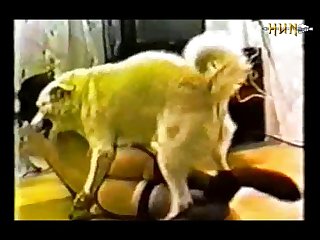 Sexy Brunette Getting Raped By An Ape