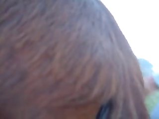 Bodile Mare 1