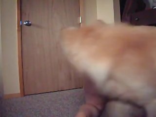 Sexy Bbw Amateur Has Fun With Her Dog