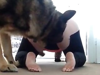 Chubby Bbw Gets Knotted By German Shepherd