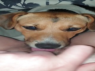 Horny Teen Licked By Her Dog