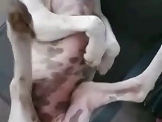 Guy Deep Dicks Her Pussy