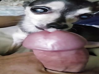 Slowmo Cum And Cleanup