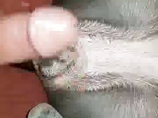 Vid 20170720 205858.wmv