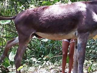 Bestiality Porn Blowjob