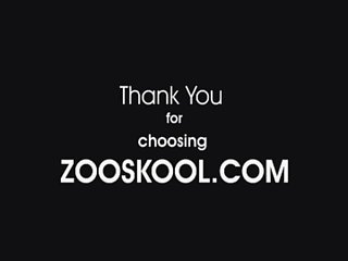 Zoofilia Gratis Caballos
