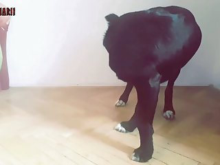 What Is Dressing Up As Animal Sex