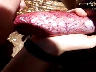 Fun Animal Sex Facts