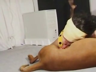 Female Animal Tf Sex