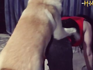 Beastiality Animal Sex Zoophilia Dog Horse Donkey