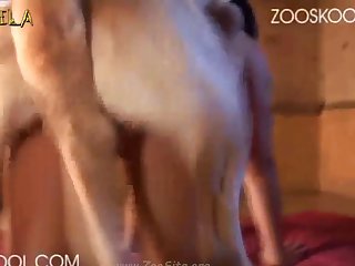 Human And Animal Sex Porn