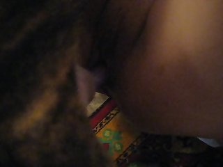 Dog Lick Pussy Animal Porn