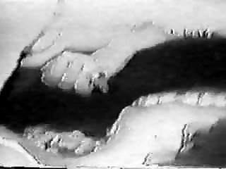 Animal Has Sex With Man