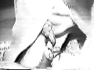 Animal Has Sex With Man