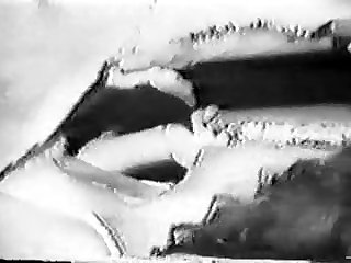 Animal Has Sex With Man