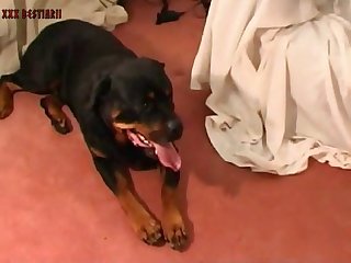 Xxx Indian Porn Star Hd