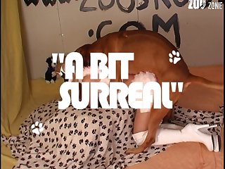 Xxx Porn Famliy