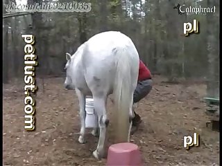 Romantic Hd Porn Xxx