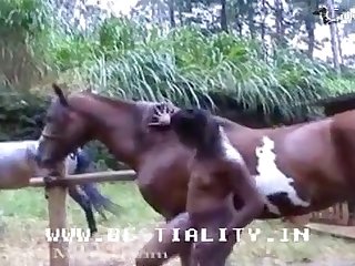 Aletta Ocean Big Tits Porn Xxx