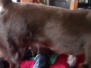 Anjali Kara Porn Xxx