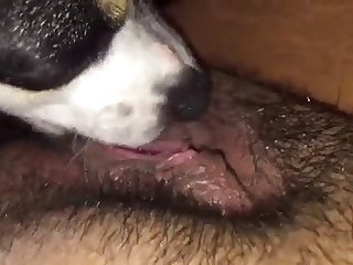 Naked Porn Xxx