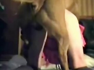 Xxx Gif Xxx Porn