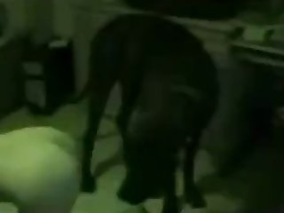 Xxx Free Porn Films
