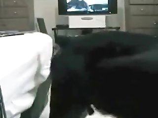 Valentine Xxx Porn