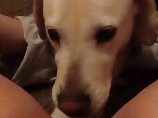 Xxx Porn Videos Romantic