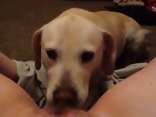 Xxx Porn Videos Romantic