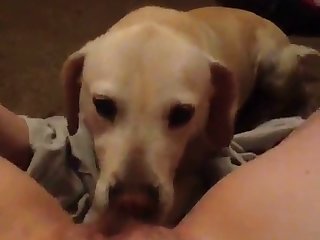 Xxx Porn Videos Romantic