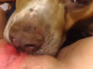 Indian Porn Web Series Xxx