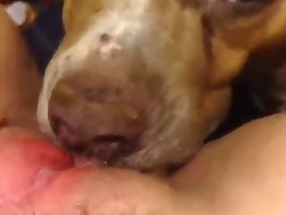 Indian Porn Web Series Xxx